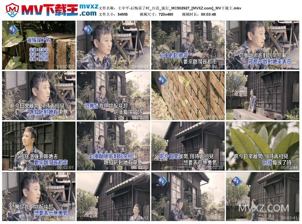 王中平-后悔误了时_台语_流行_MC502927